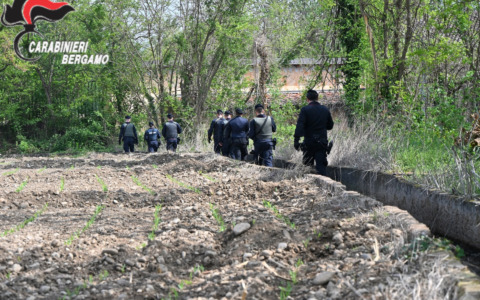Controlli dei Carabinieri a Cascina Motta e Cascina Bosco: un intervento su vasta scala