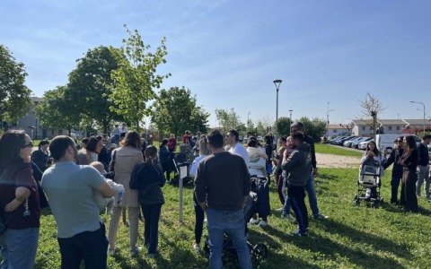 Fontanella festeggia la Festa dell’Albero con nuovi legami
