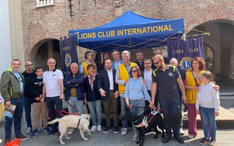 I cani guida della Scuola Lions: un aiuto fondamentale per i non vedenti