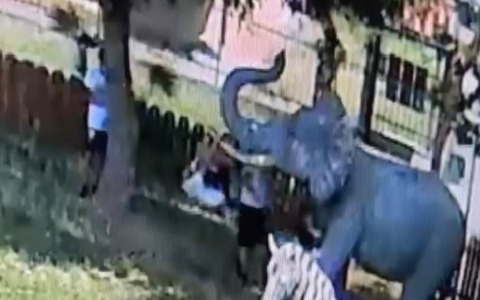 Antegnate, trasgressioni al Parco degli Animali: adulti e bambini ignorano i divieti