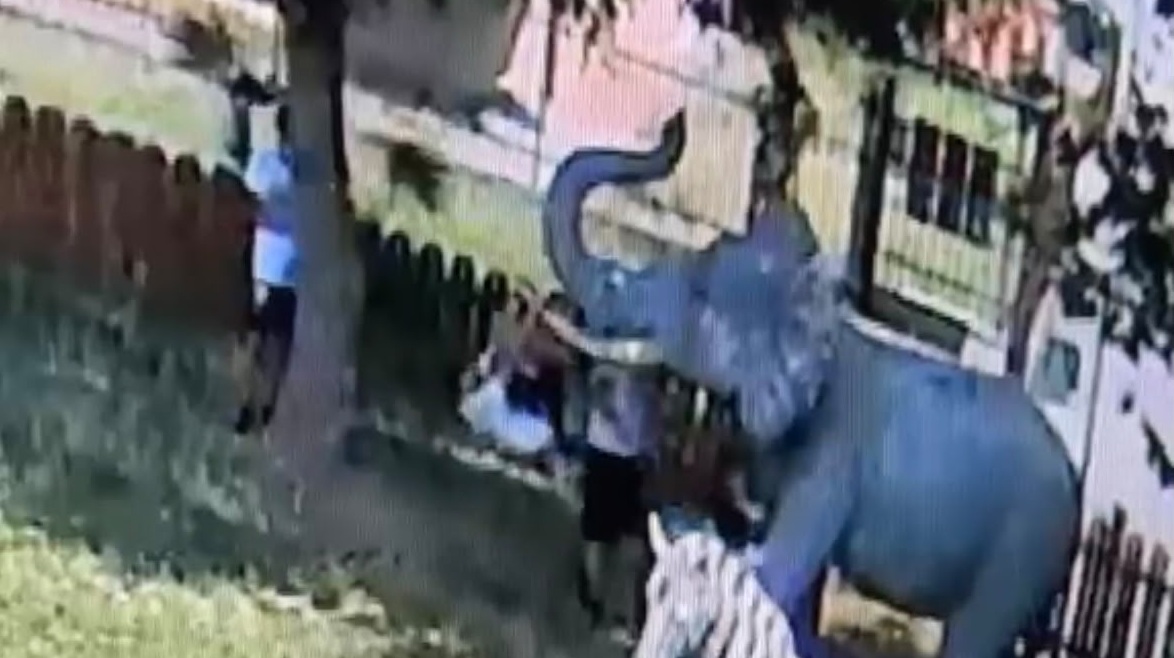 Antegnate, trasgressioni al Parco degli Animali: adulti e bambini ignorano i divieti