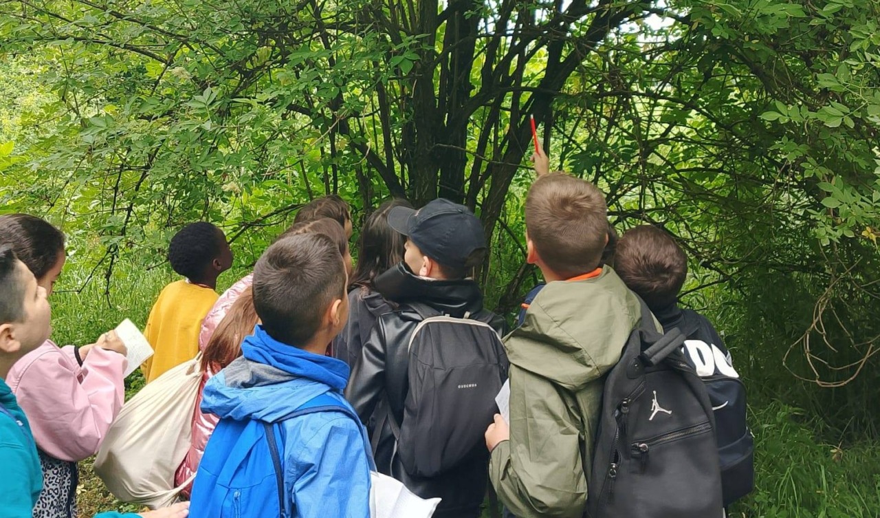 Concluso il progetto di educazione ambientale nel Bosco San Gherardo con WWF Oasi Valpredina-Misma