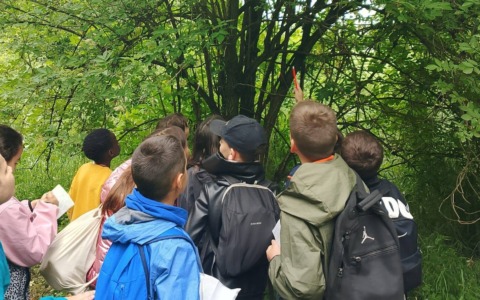 Concluso il progetto di educazione ambientale nel Bosco San Gherardo con WWF Oasi Valpredina-Misma