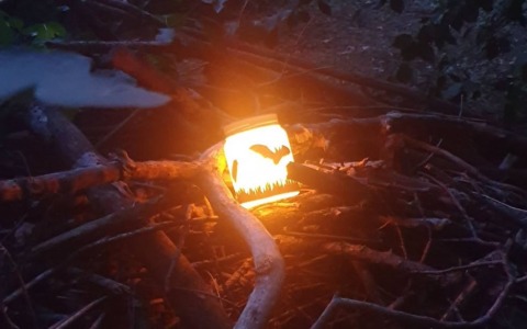 Prima edizione della “Bat Night” al bosco San Gherardo di Covo: un successo per la biodiversità