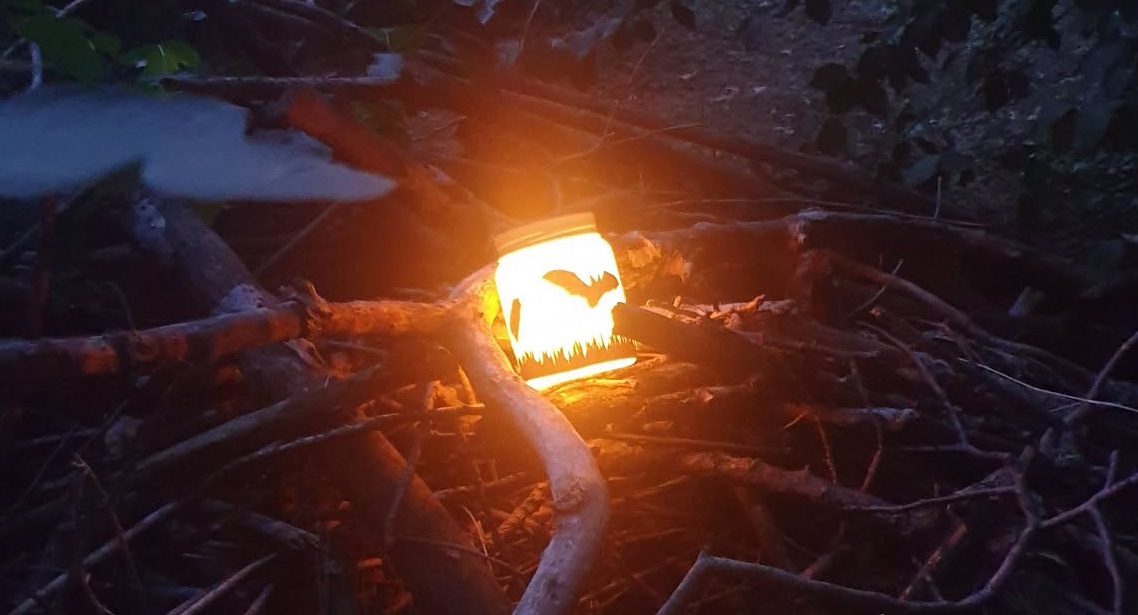 Prima edizione della “Bat Night” al bosco San Gherardo di Covo: un successo per la biodiversità